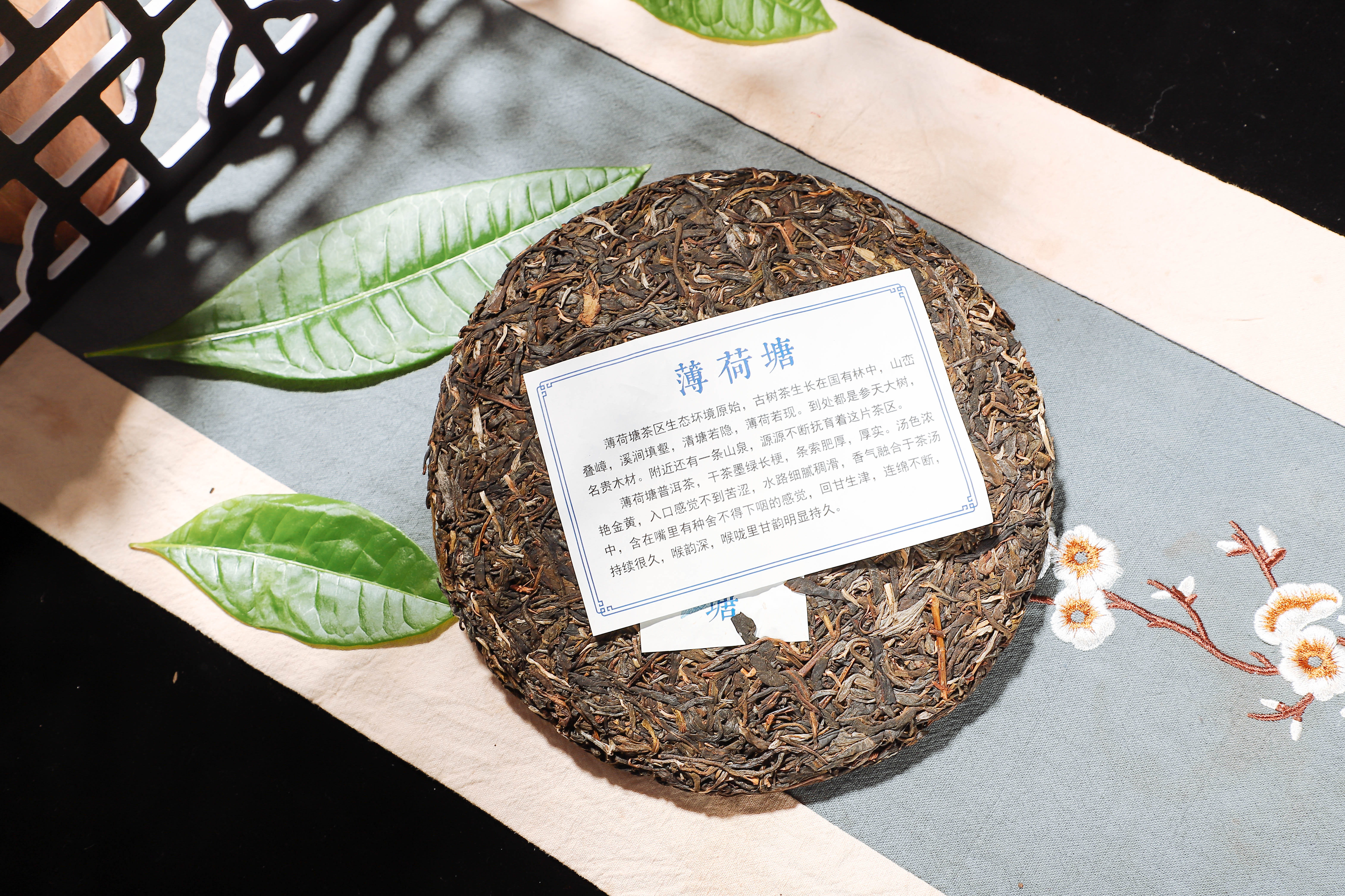 好茶测评|无量薄荷塘，馥郁山野花蜜香，还原古树茶经典本味