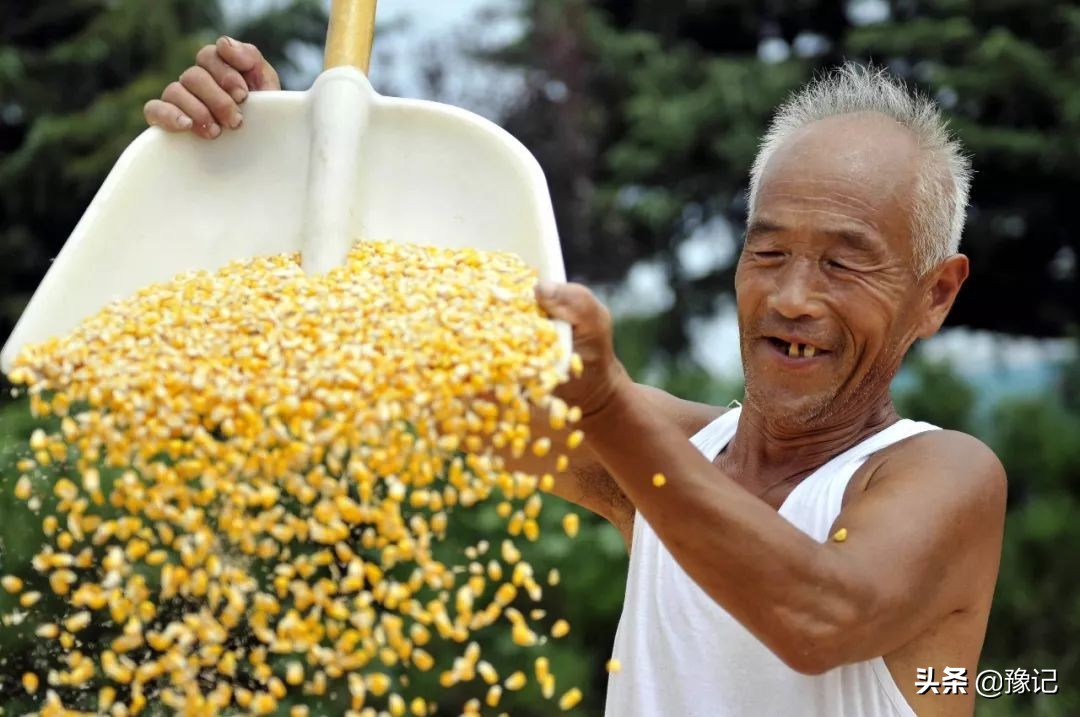 农村女人放下恩怨,乡村女人应该如何收拾男人