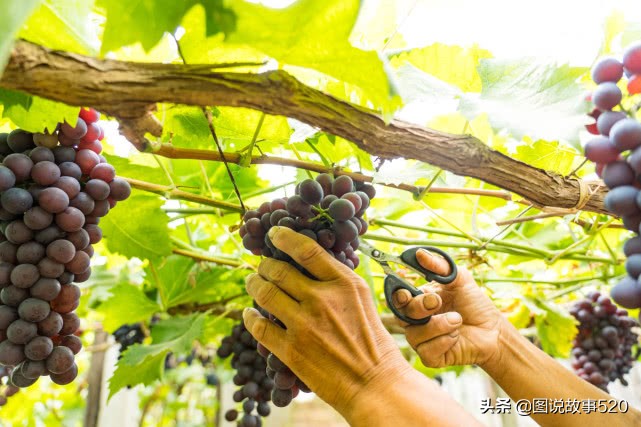 河北最为低调小城:为韩愈祖籍地,曹操《观沧海》中的碣石在这