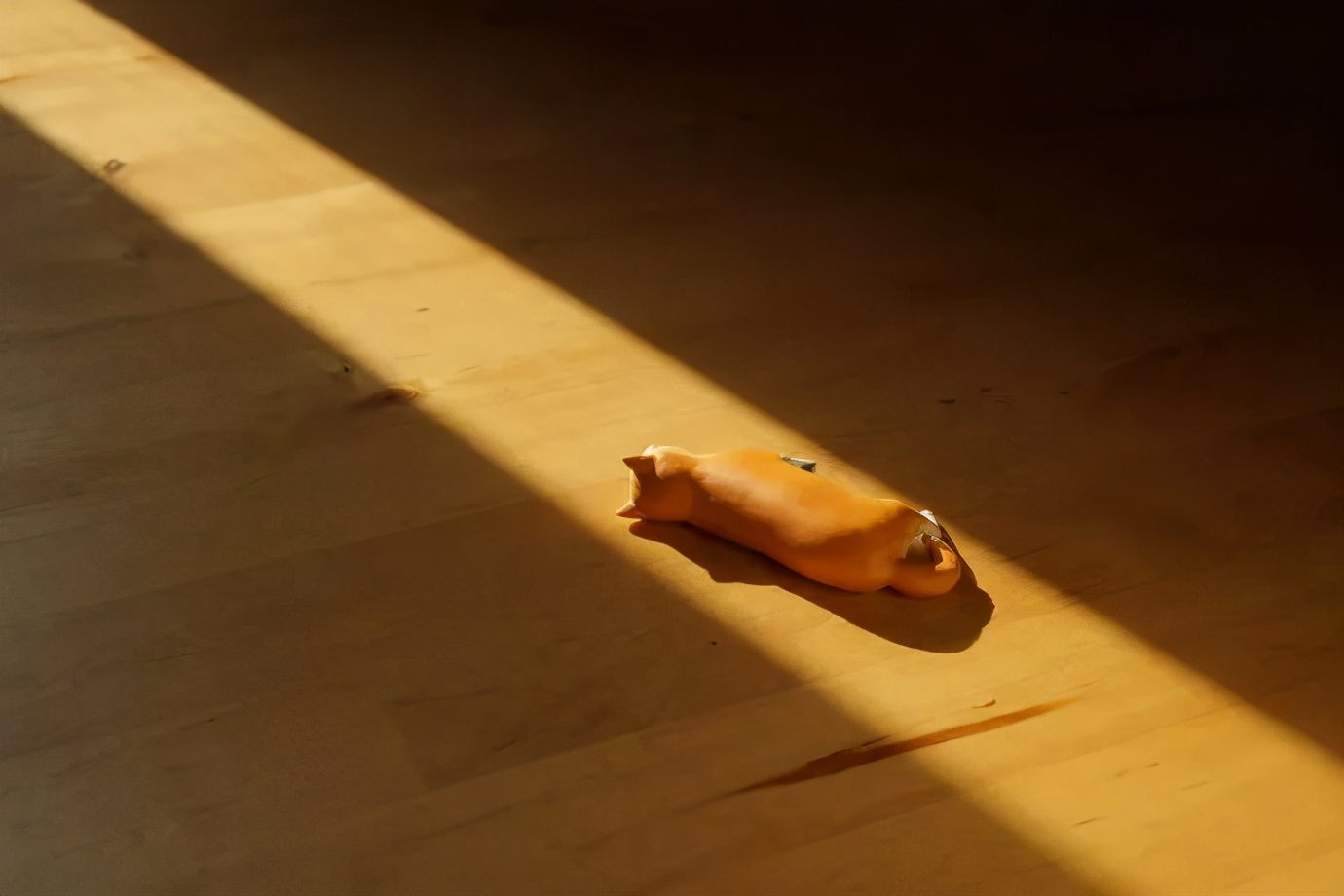 广东朋友发的，心酸中带着一丝好笑|冷段子1823