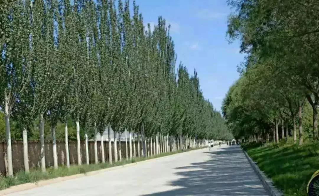 2019西北民族大学预科,高考志愿西北民族大学