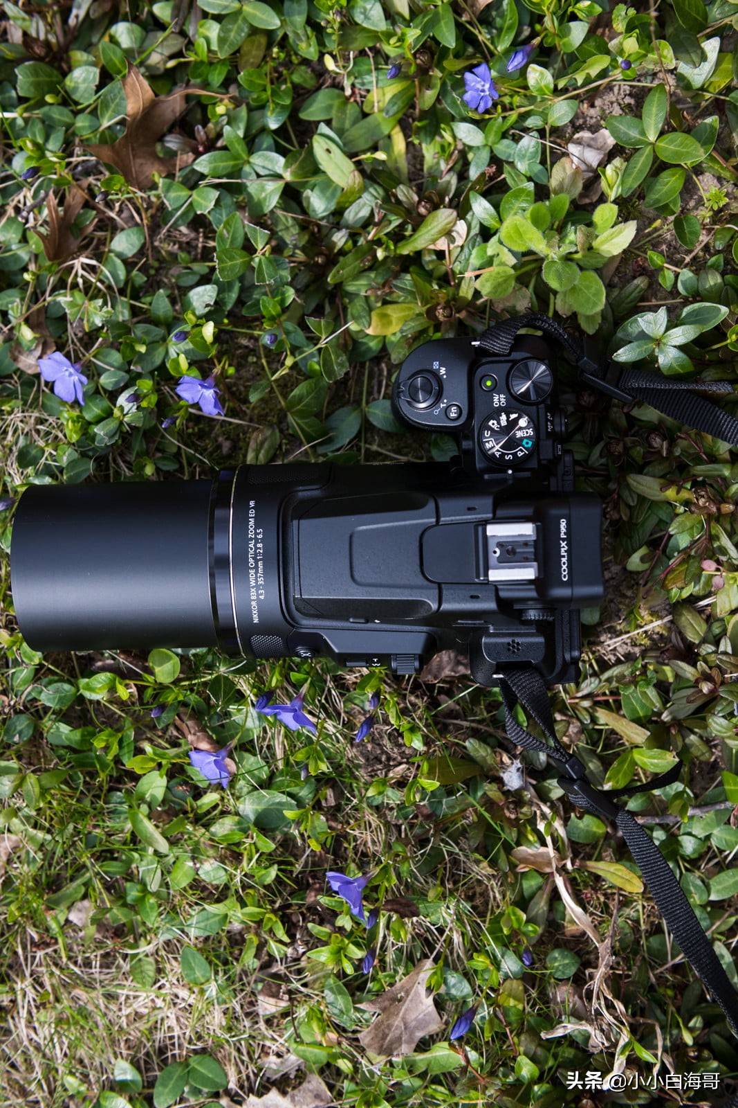 尼康24-3000mm超长焦镜头,尼康p950变焦镜头