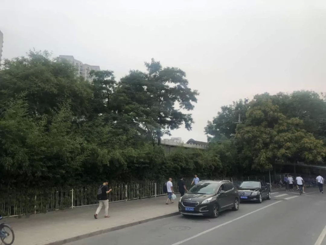 一本万利直播间,一本万利玉石直播