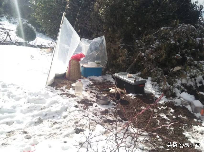 阿土｜荒野生活/从城市白领到山中野人