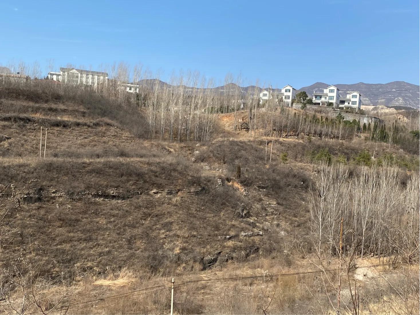 龙泉山庄春节,2022春节龙泉山庄好玩吗