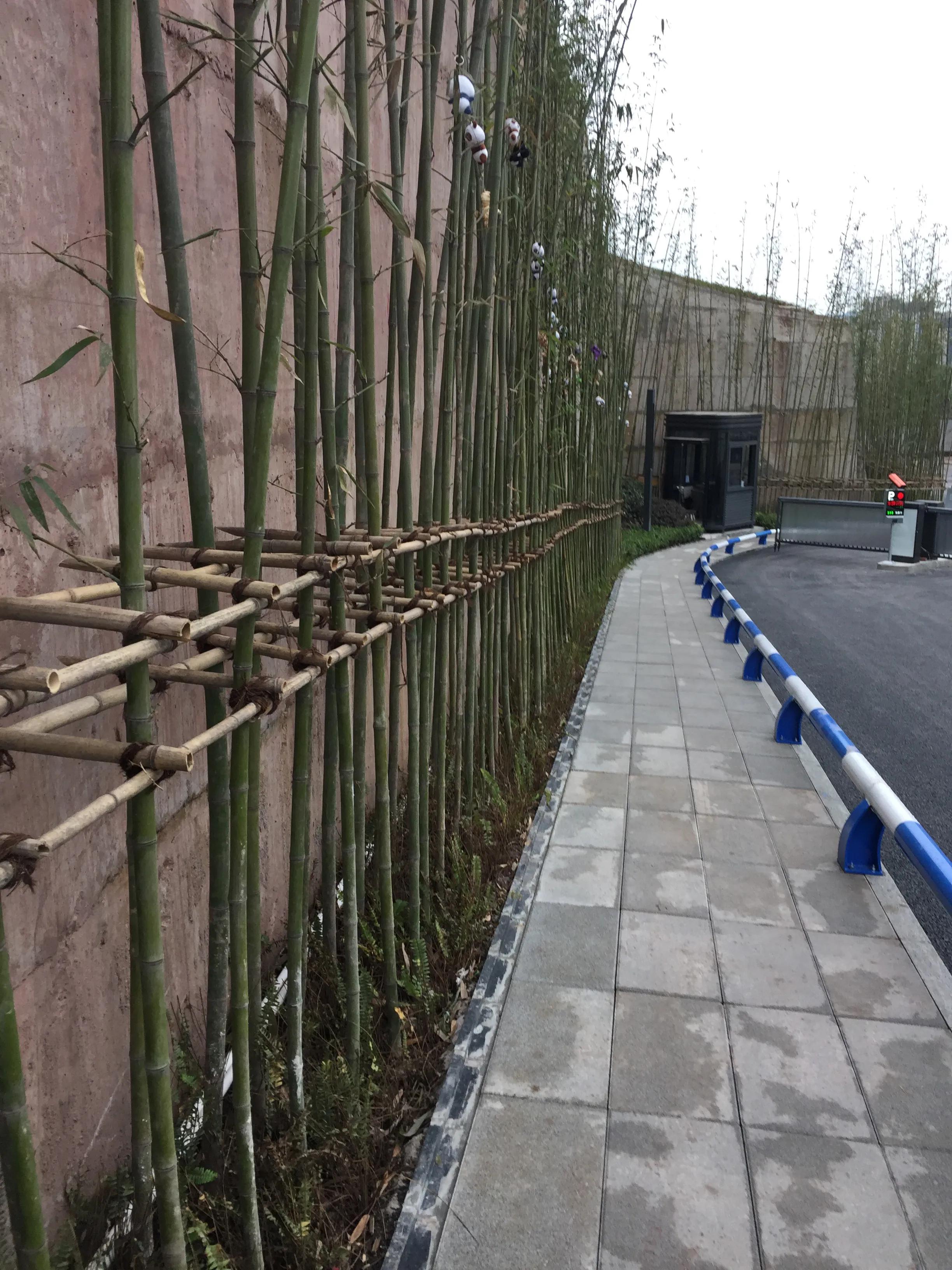 请问南京朗诗:乐府Top系就是重庆朗诗乐府这个鬼样子?