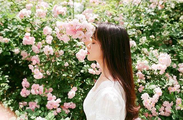 满架蔷薇一院香,开到荼靡花事了