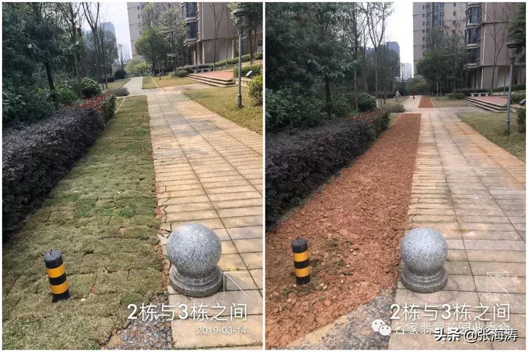 业委会整改小区绿化,名家翡翠花园业委会