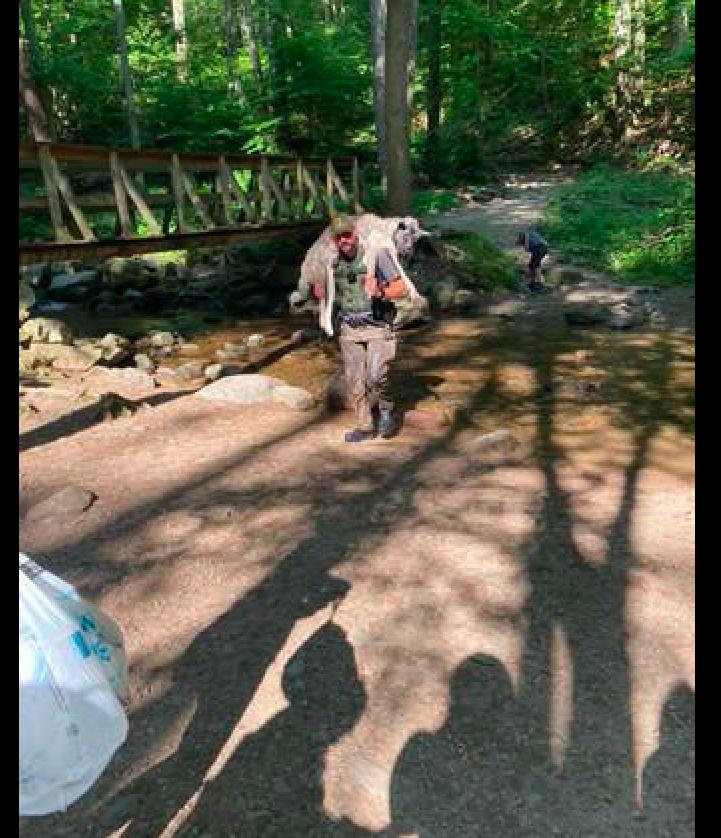 带德牧爬山徒步,德牧爬雪山