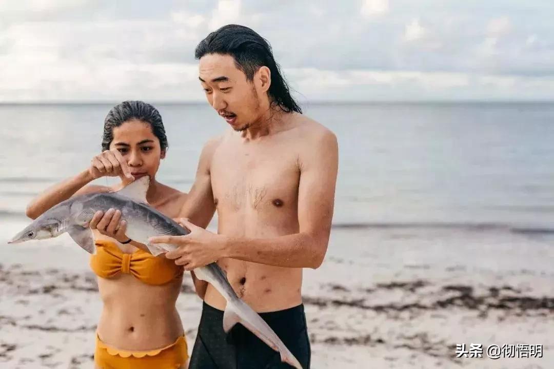 53天环游世界旅行,80天环游世界环游了哪几个国家