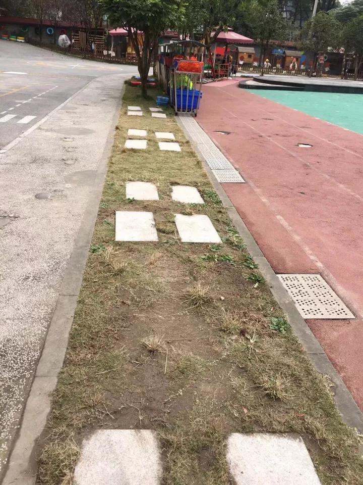 4.13重庆逐梦歌乐山上的“巴学园”探索“世界级乡村幼儿园