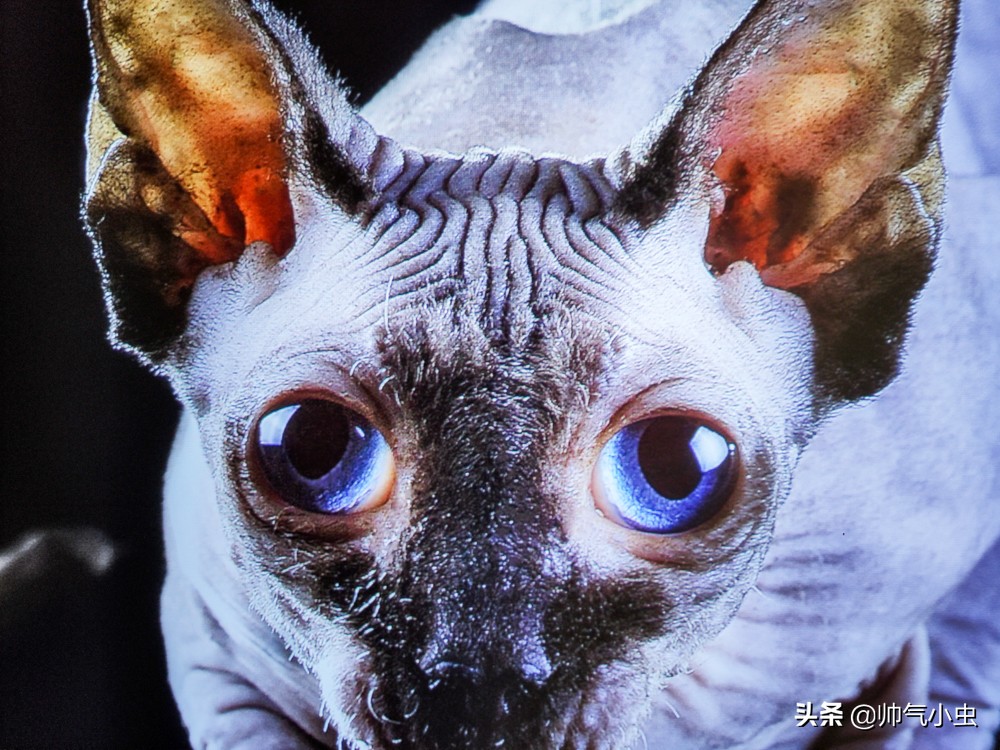 峰米激光电视4kcinema评测,峰米4kpro激光电视评测