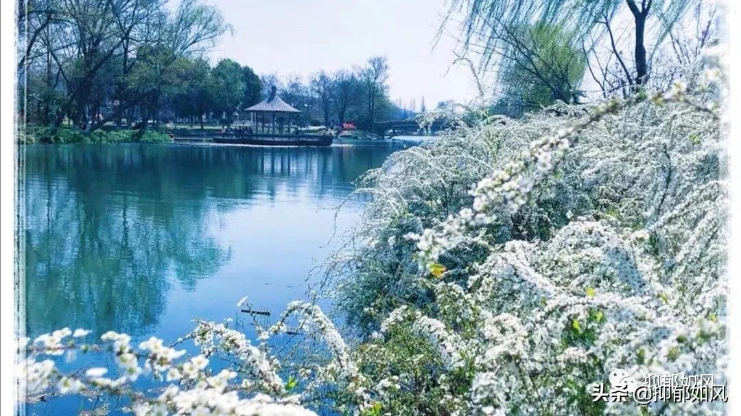 抑郁症心理咨询的最好方法,抑郁症心理咨询重要性