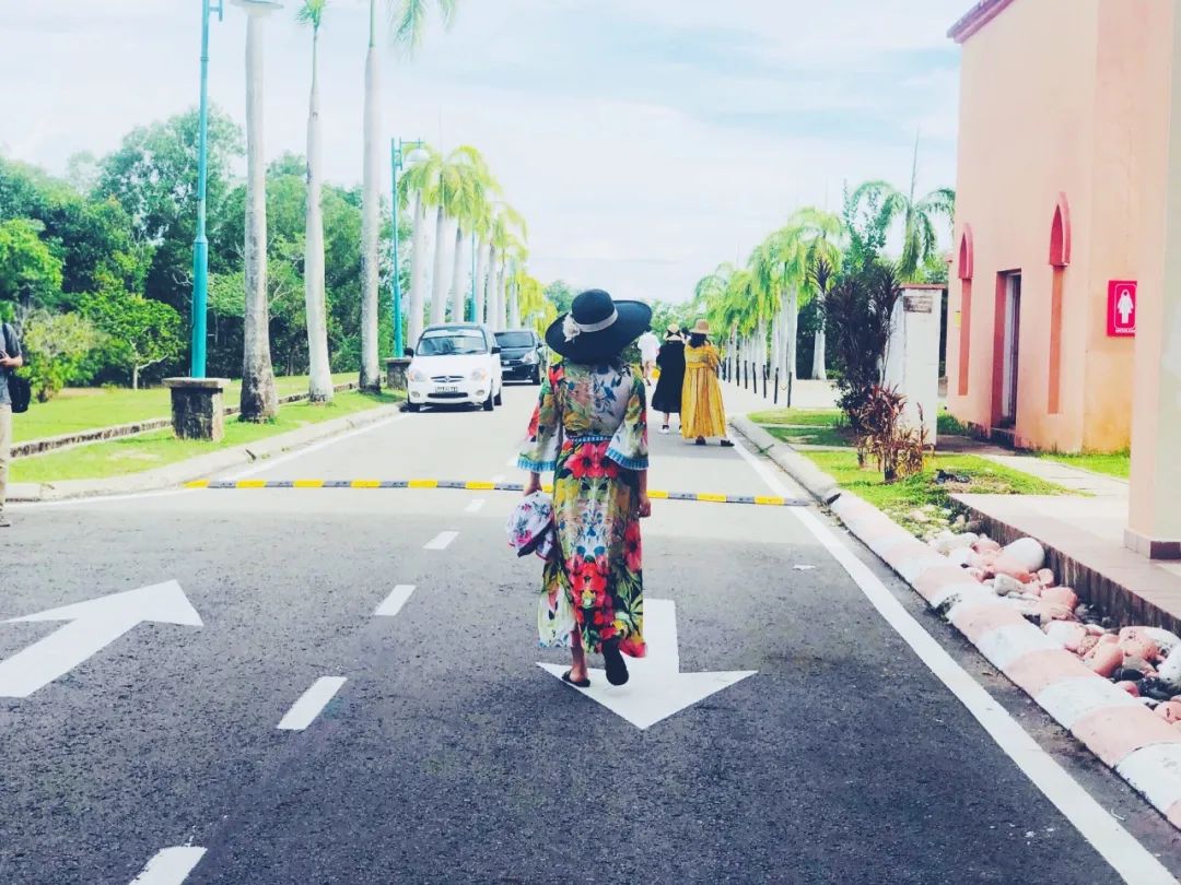 出不了门的心情,出不了门的日子让人心绪难平