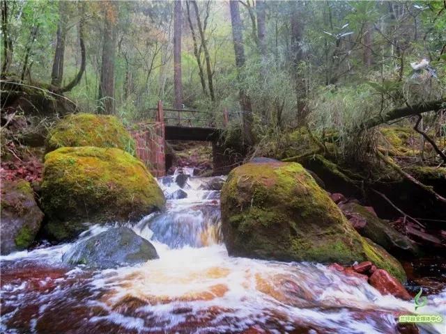 鍏板潽鍗拌薄,鍏板潽涔″湡鍗拌薄