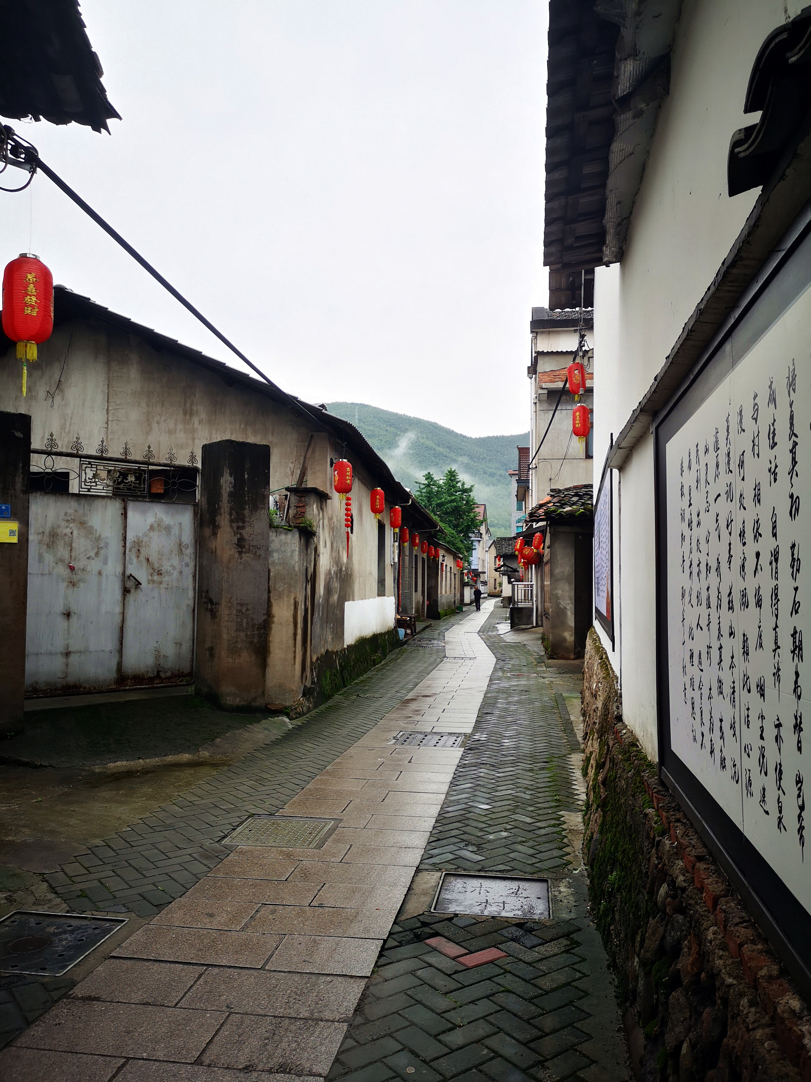 畲族是哪里的民族乡,畲族体验