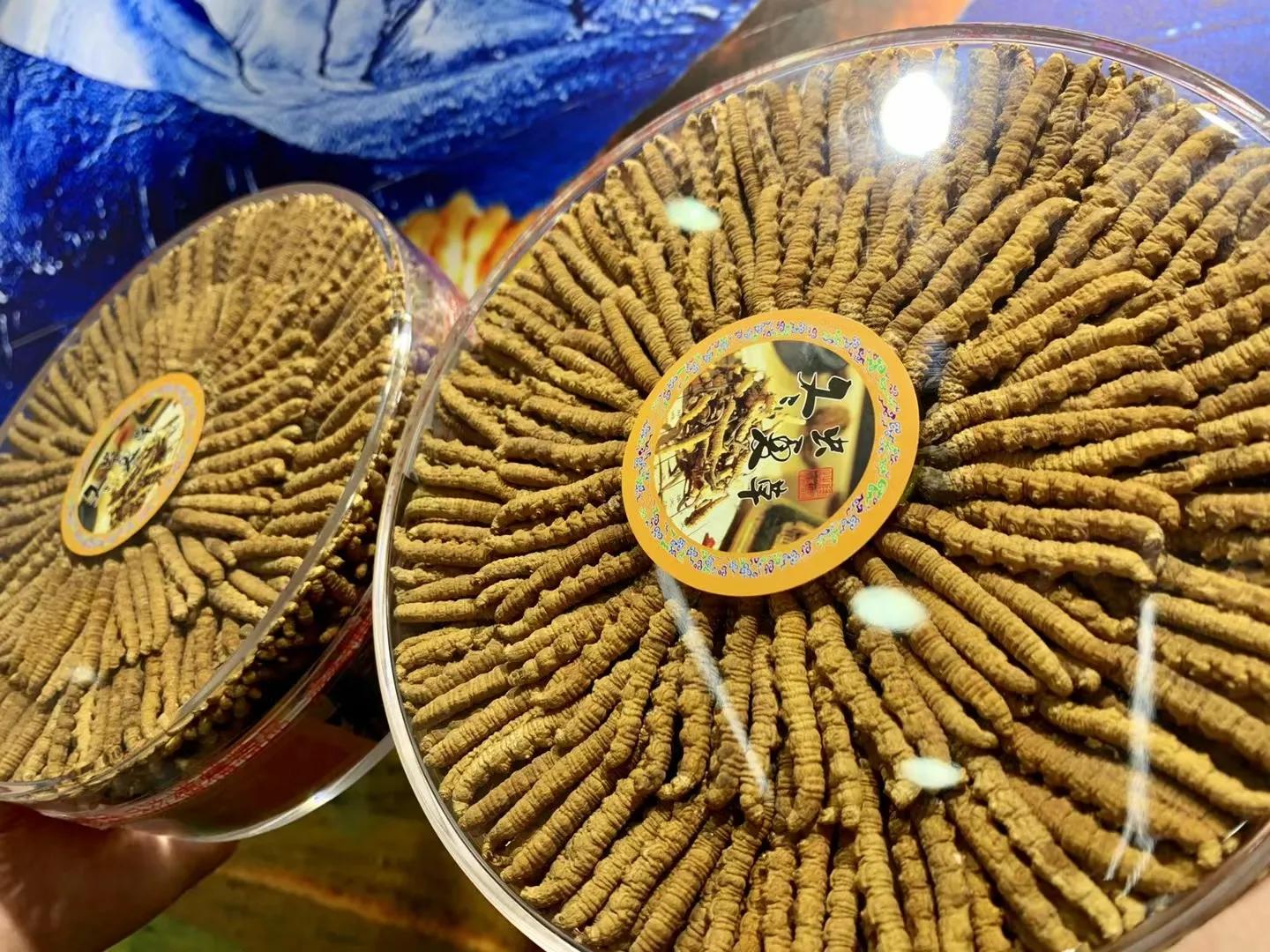 冬虫夏草鸡汤做法虫草放多少,孕妇虫草炖鸡汤一般放几根