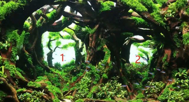 造景如何看起来有层次,十个最好看的造景