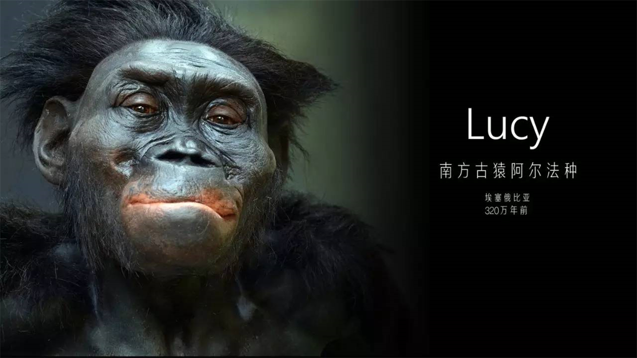 人都是女性生的，在人类出现前，世界上第一个女性是从哪里来的？