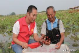 科技科普志愿者,全国优秀科普科技工作者