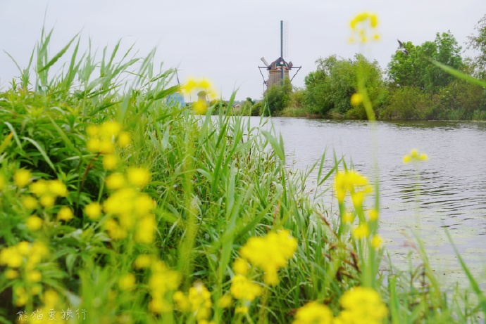 10日荷兰自由行攻略3，在自由包容的国度里浪漫放飞自我