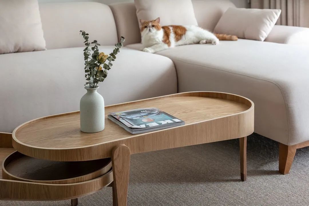 给猫自制的豪华猫屋,给猫咪改造猫屋