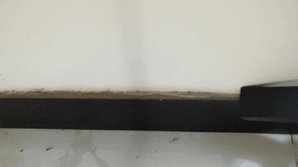 伊莱克斯z803干湿两用吸尘器,伊莱克斯无线吸尘器哪款好