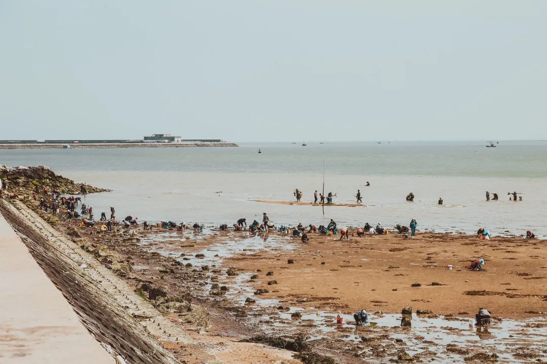 生活在海边的人皮肤特点,日照海边的魅力