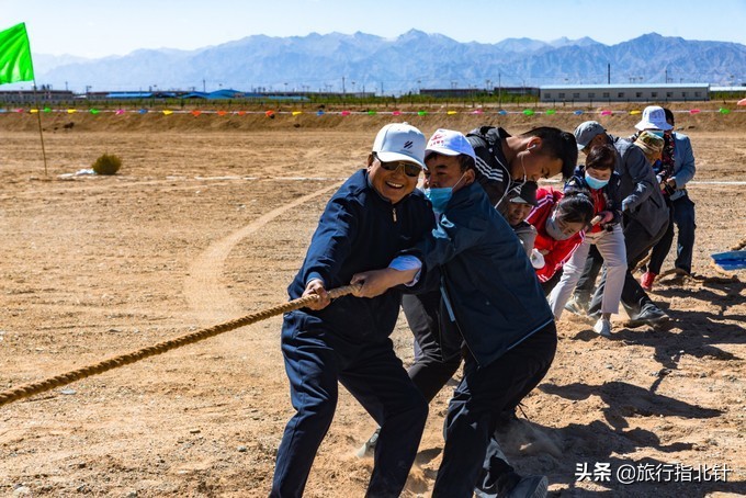 美丽青海，秋收的季节都兰红了，爆汁鲜甜的枸杞有小拇指大小