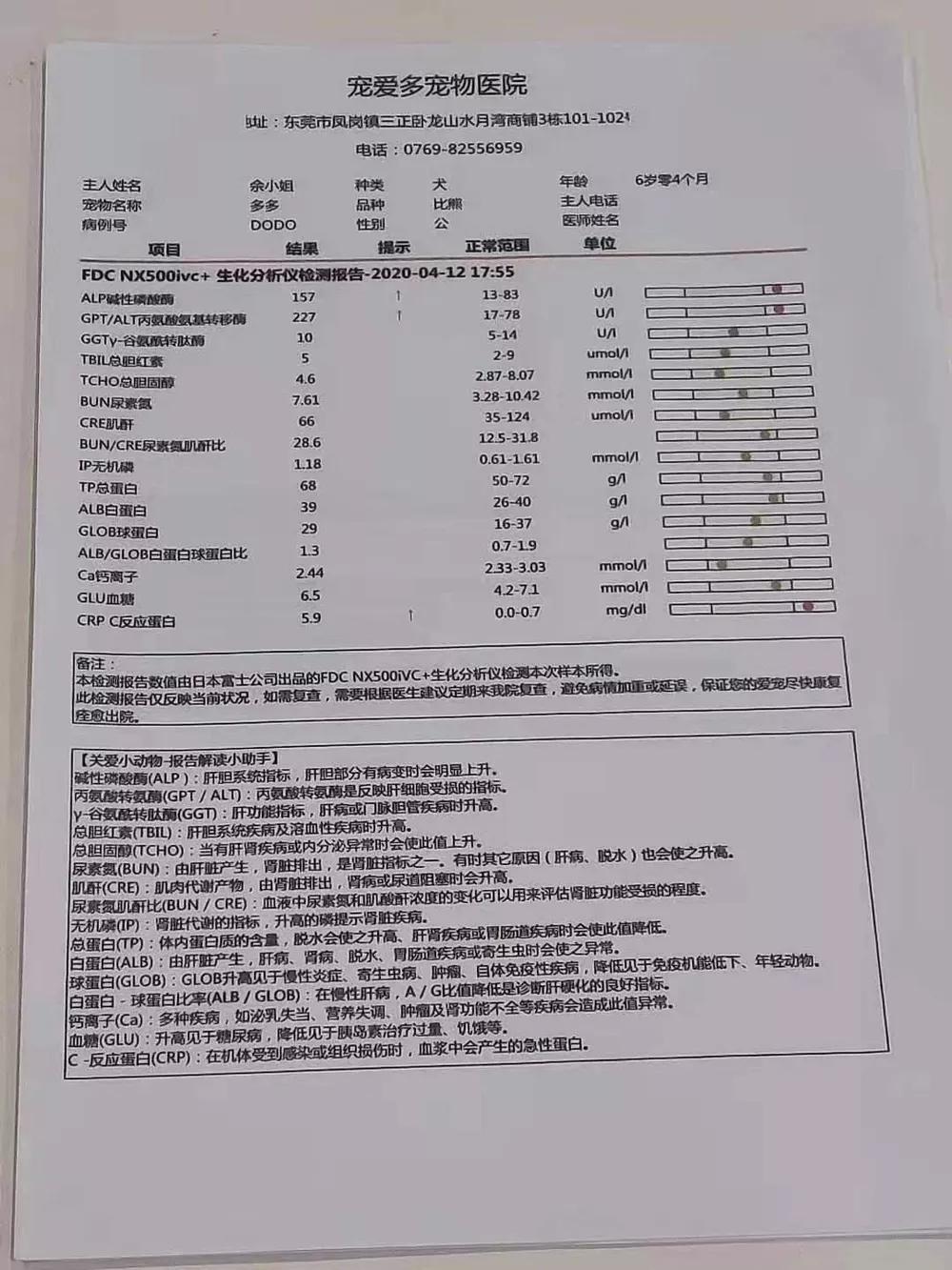 拜耳宠物消毒剂,拜耳杀虫剂灭跳蚤怎么样