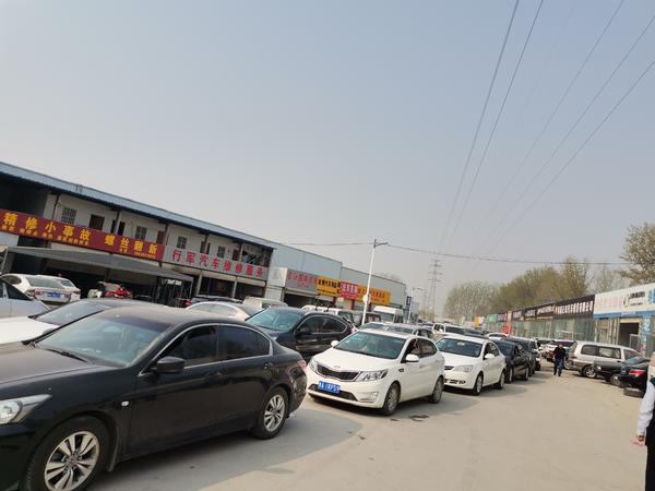 有点慌视频,郑州市审车排队