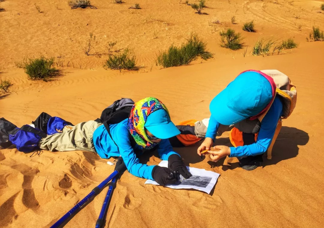 限时抢100元优惠券,限时优惠抢券