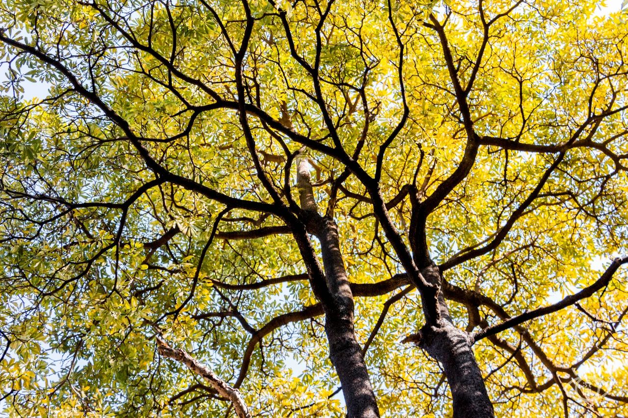 深圳各区最美的地方,深圳6个绝美地方