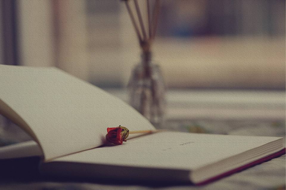 与书籍有关的名言名句大全摘抄,书籍名言名句