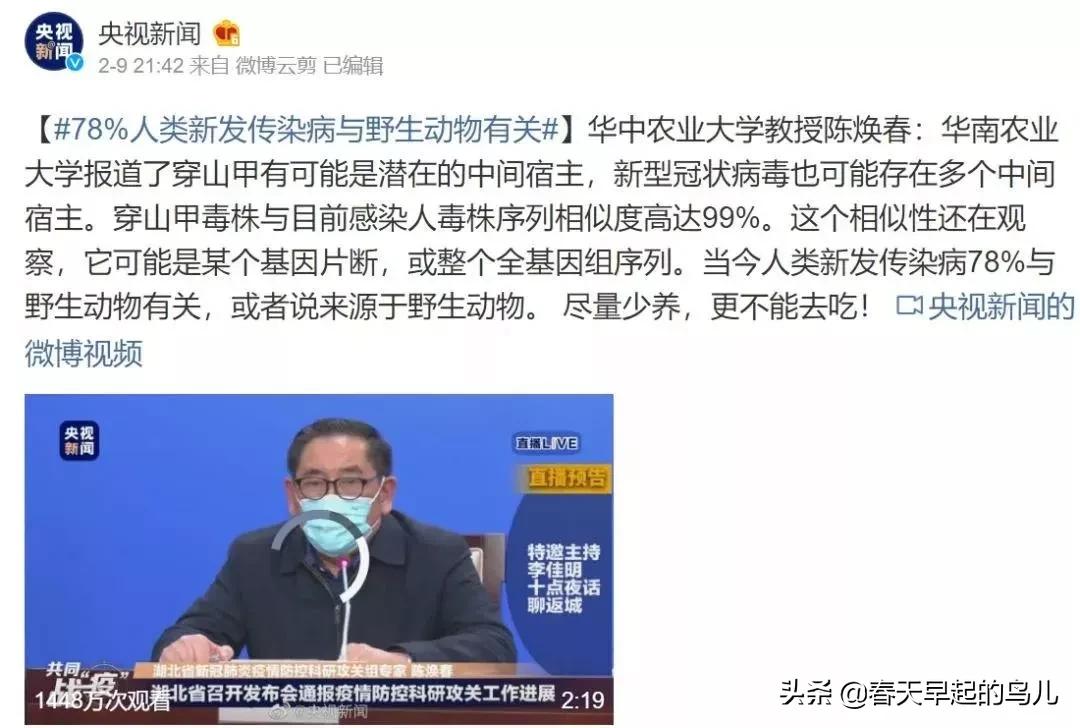 穿山甲报应,报应啊