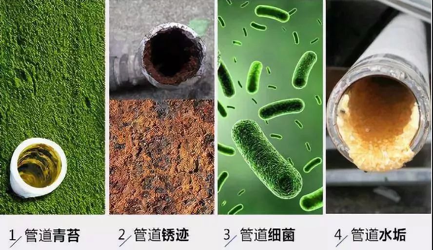 家里下水道堵塞发臭,别用开水冲!教你1个小技巧,再也不发愁