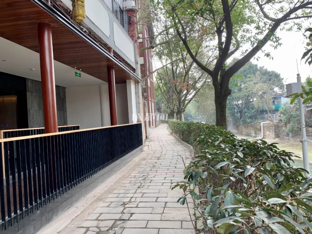 成都绿道风景美如画,成都周边哪条河边绿道最美