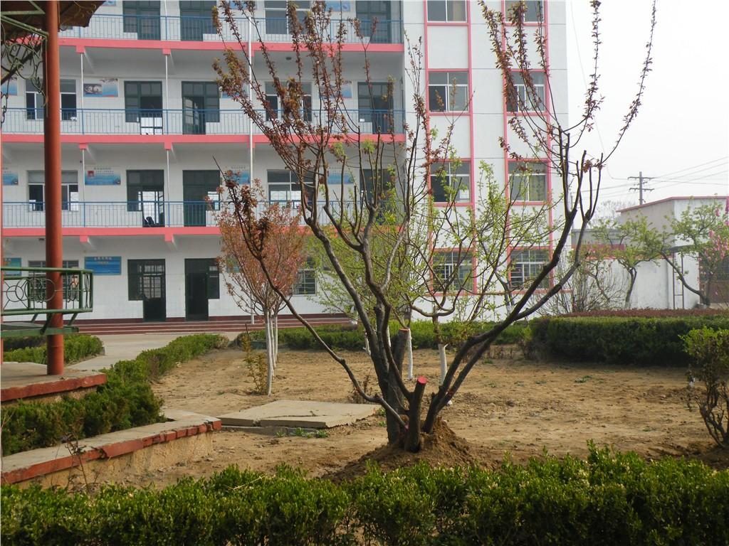 关于春天的小学生优秀作文,小学生作文春天的校园优秀范文