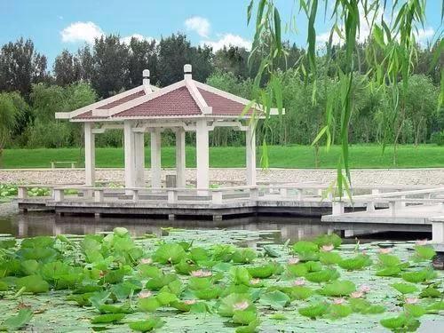 辽宁沈阳的医学大学,了解一下沈阳医学院