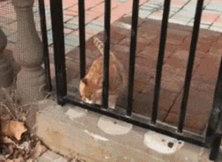 穿恨天高坐地铁的社死现场,两位男士都不忍看这次“崴脚表演”