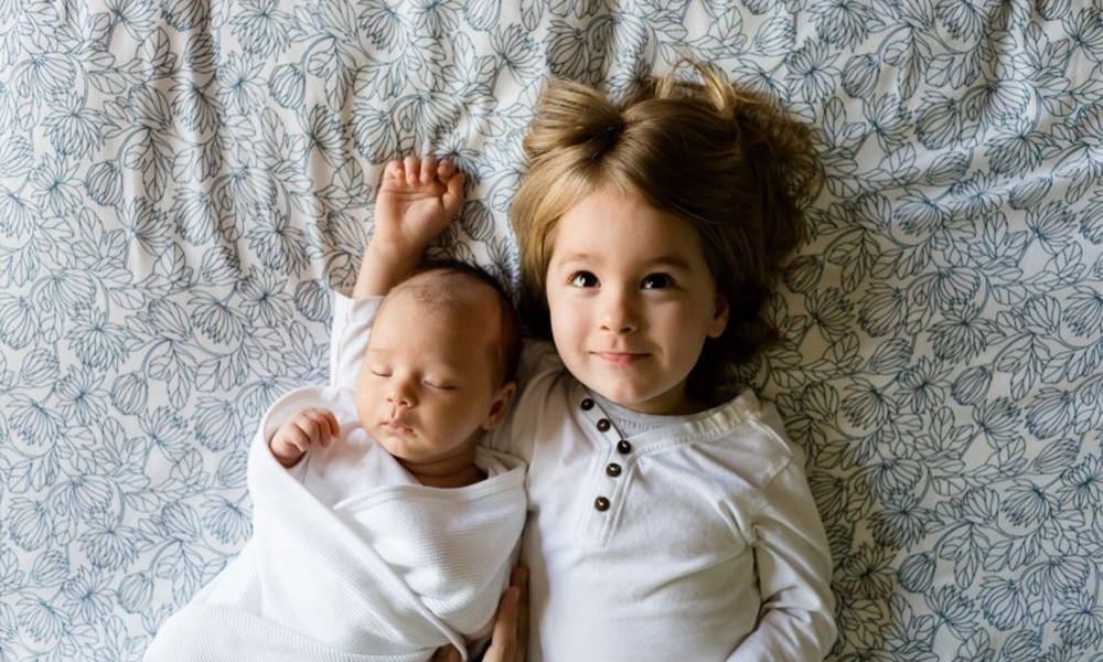 德国喜宝和荷兰喜宝哪个好,德国喜宝有机和益生菌奶粉哪个好