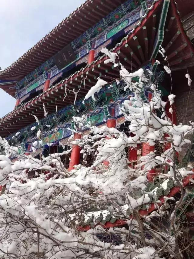 河南省春节旅游免门票景区 (春节河南6大景区半价)