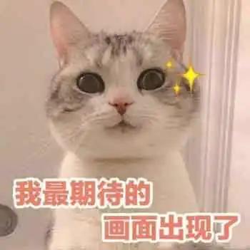 英国前十名老牌大学,英国网红大学名单