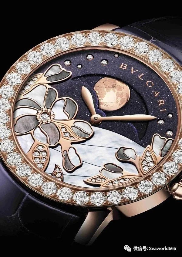 珍珠贝——用时间磨平伤痛，用温柔造就无双的美