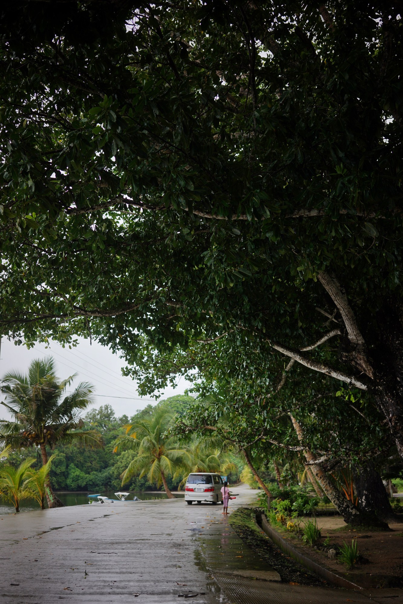一定是特别的缘分——帕劳，再遇见「周若雪Patty」·上