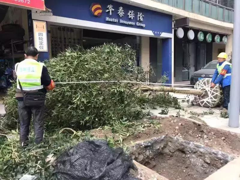 庆祝新中国成立七十周年新闻,庆祝新中国成立70周年活动方案