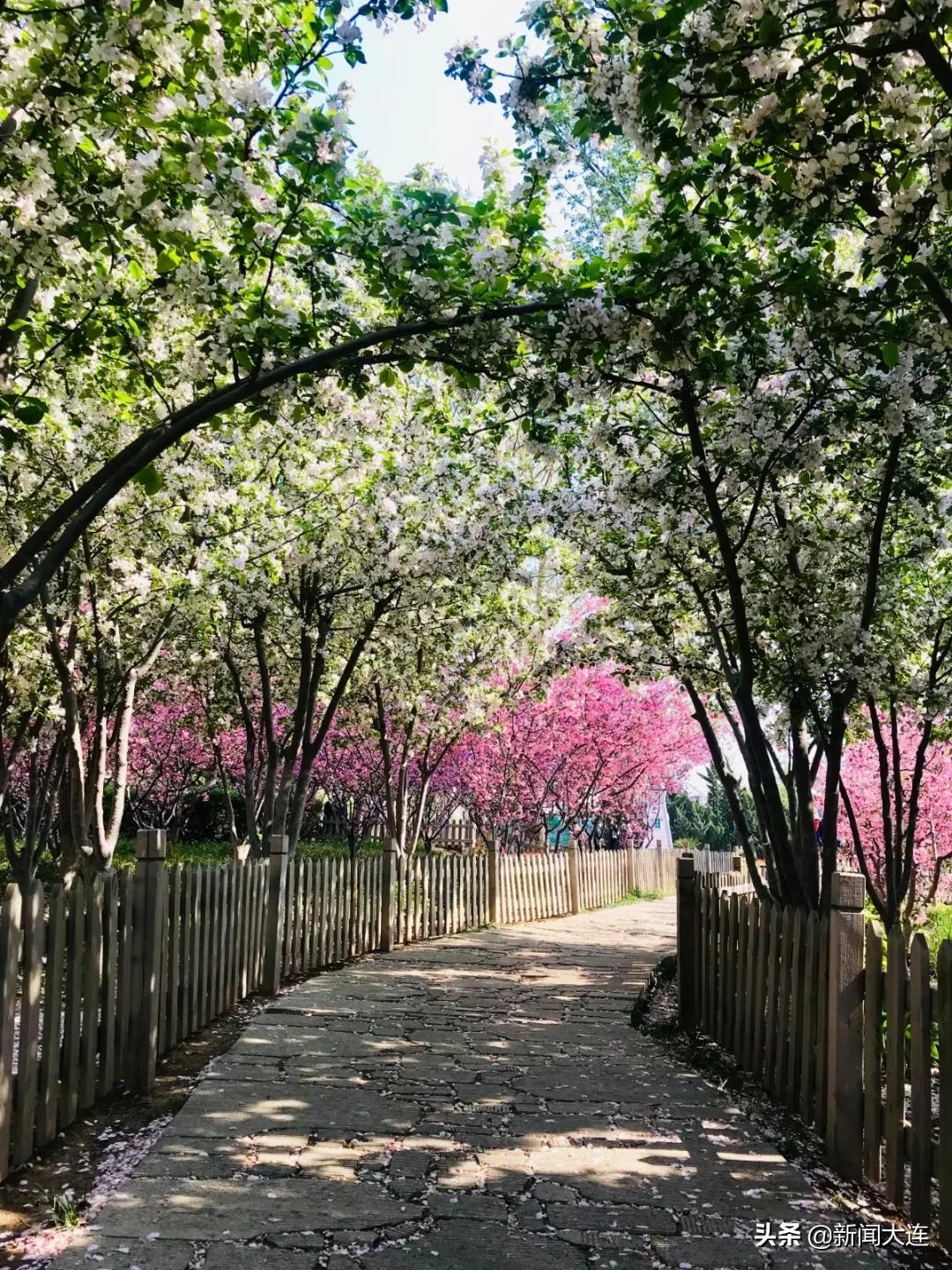 大连野餐必备,大连野餐推荐地点