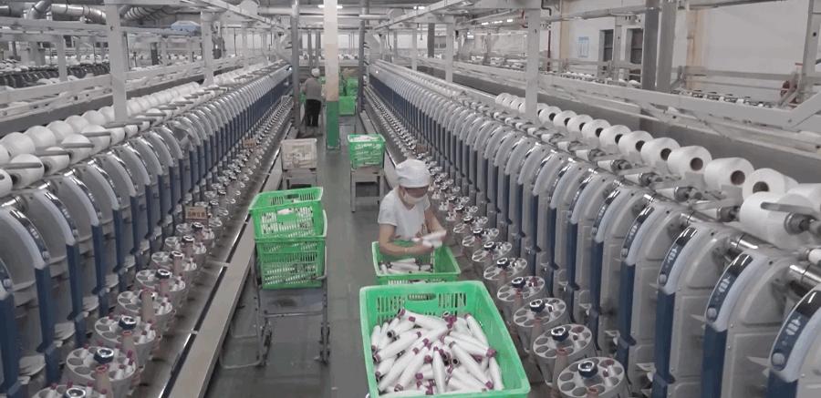 探访行业领军人物,探访国货之光