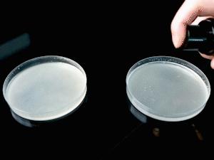 去除脚臭最有效的喷雾,去脚臭最有效方法喷雾