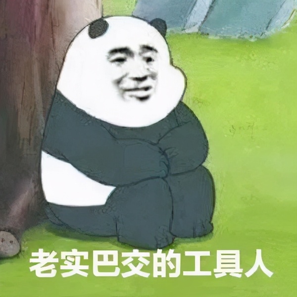 哪种猫最会带娃,什么猫带娃最好